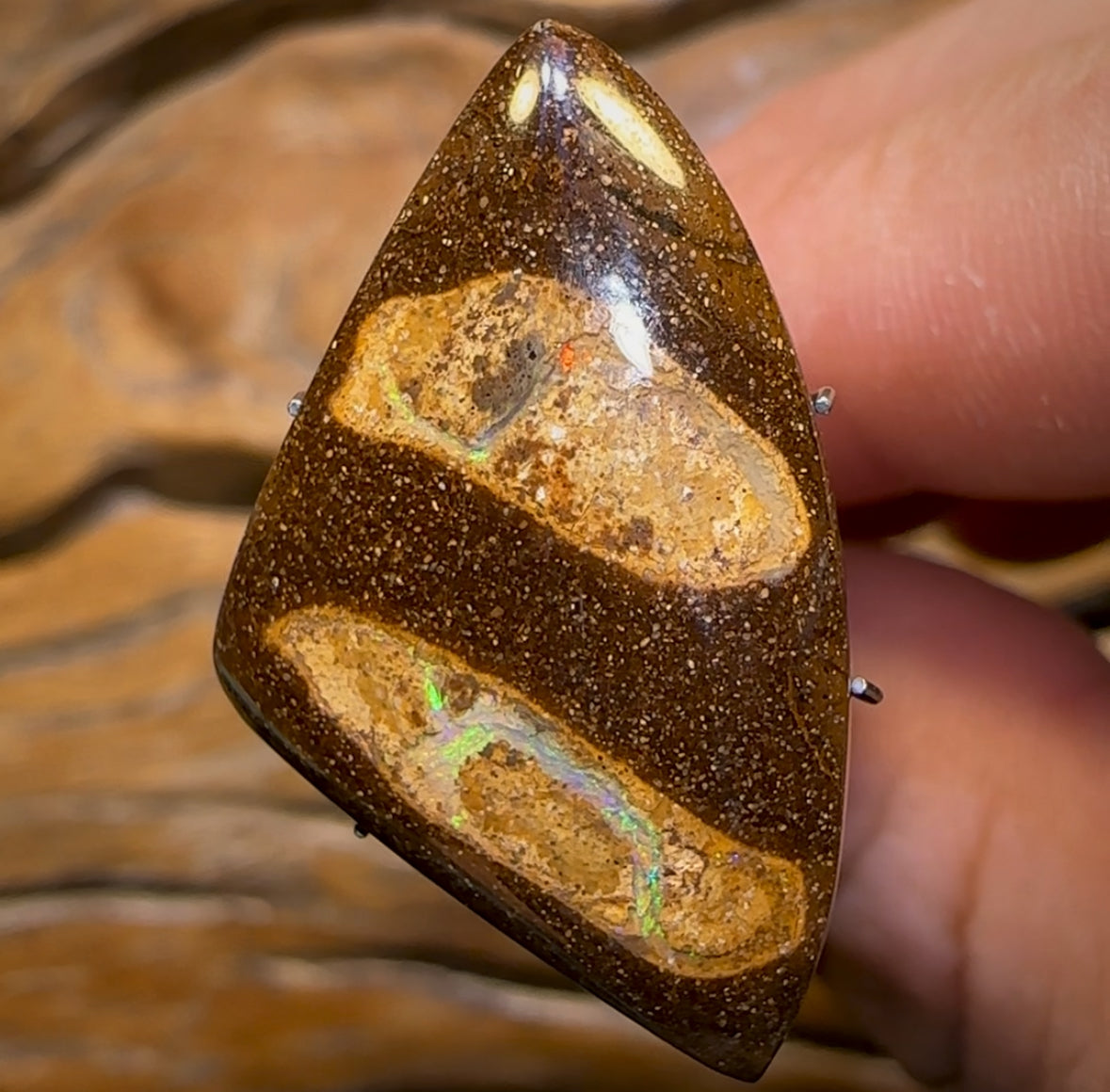 🔨 AUCTION 🔨 No Reserve 17.5cts - Yowah Nut Kernel Opal