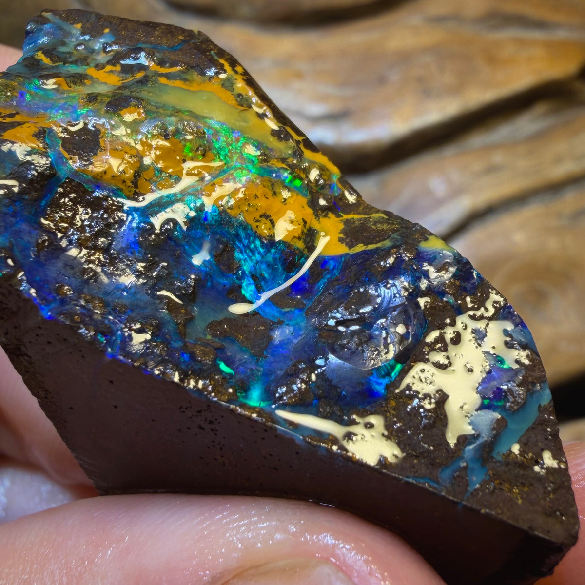 Dad Card! 293cts - Top Queensland Boulder Seam Opal Rough Pair. Natural Split