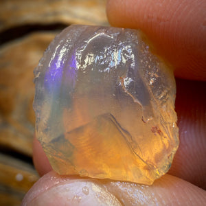 🔨 AUCTION 🔨 18.8cts - Opalised Shell Geological Specimen from South Australia. Pure Water Crystal