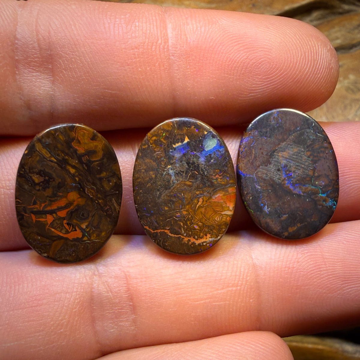 Wildcard! Below Cutting Cost 50.2cts - 3x Australian Tribal Boulder Opal’s. Wholesale Parcel