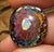 33.3cts - Tribal Kernel Koroit Nut Queensland Boulder Opal - Opal Whisperers