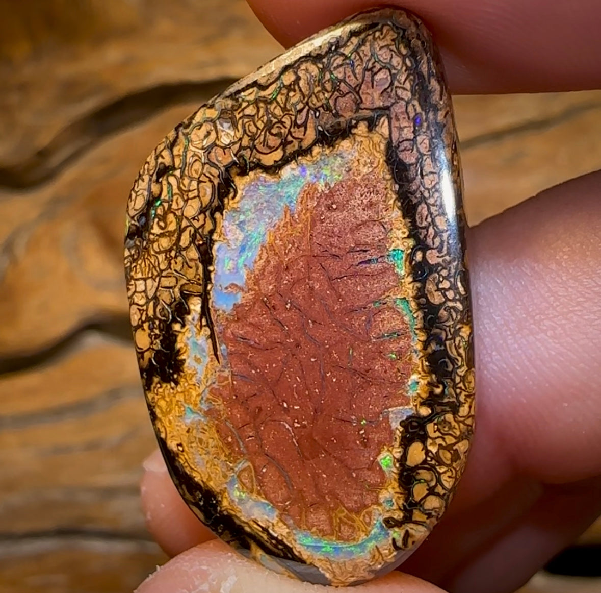 43.6cts - Yowah Nut Tribal Opal. Double Sided - Opal Whisperers