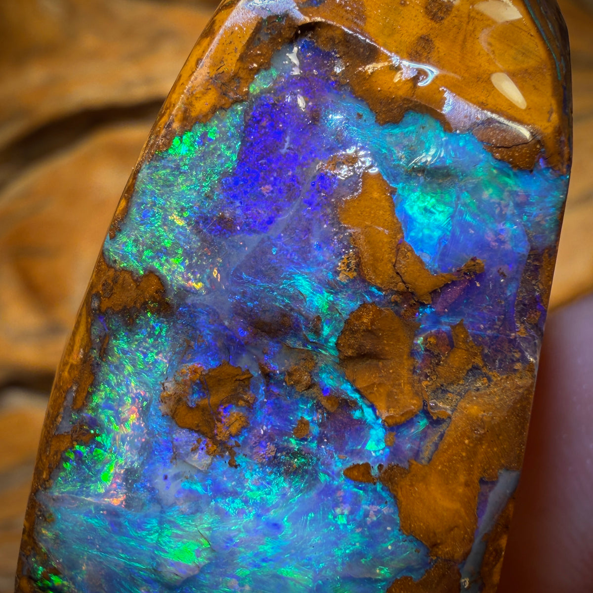 272.5cts - Wow Wow Wow Massive Investment Opal Rub. Featured on ‘OUTBACK OPAL HUNTERS’!!