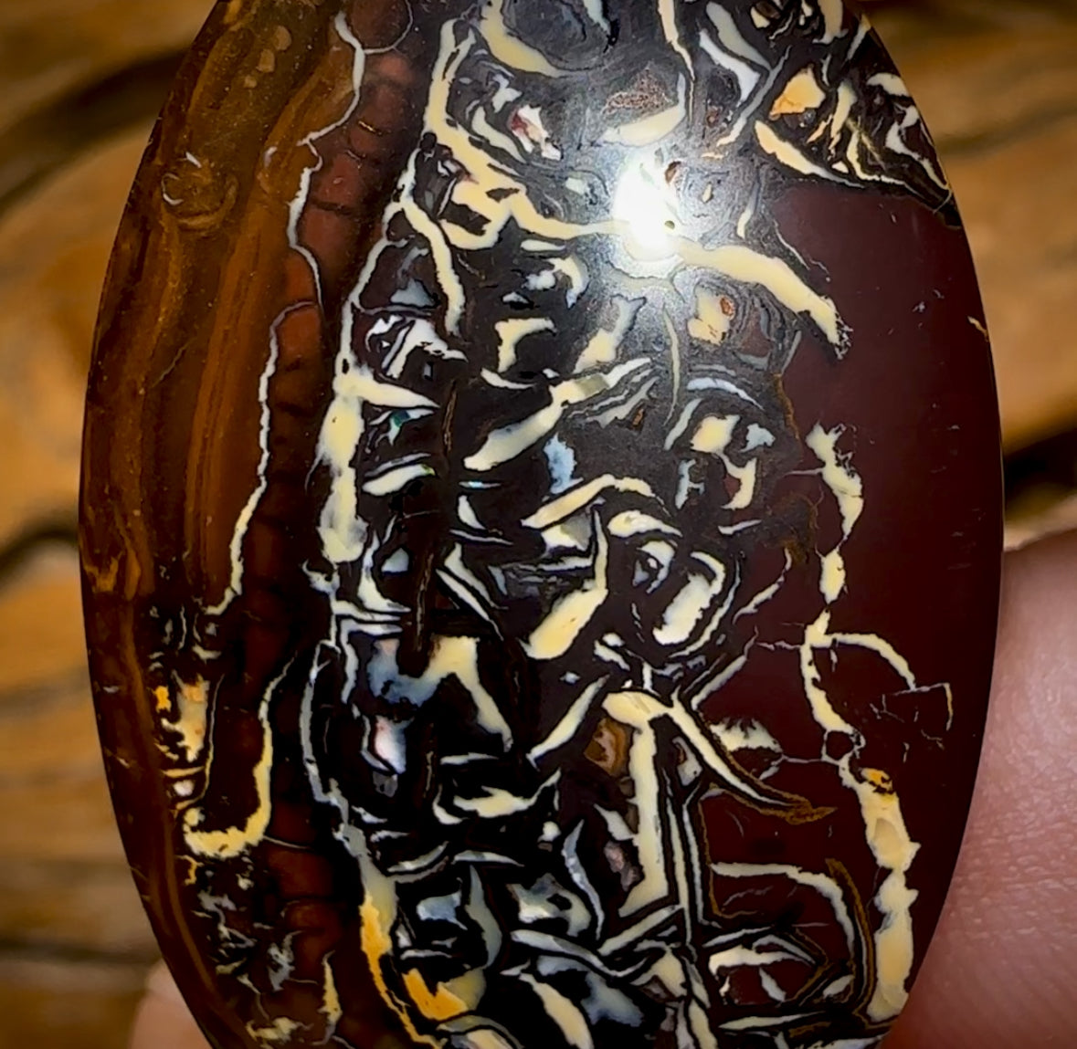 Auction Fall-Through = Your Gain! 🔥 Now More Than 50% Off RRP 🚨  62.2cts - Wow Tribal Queensland Boulder Opal. Tribal Matrix Double Sided