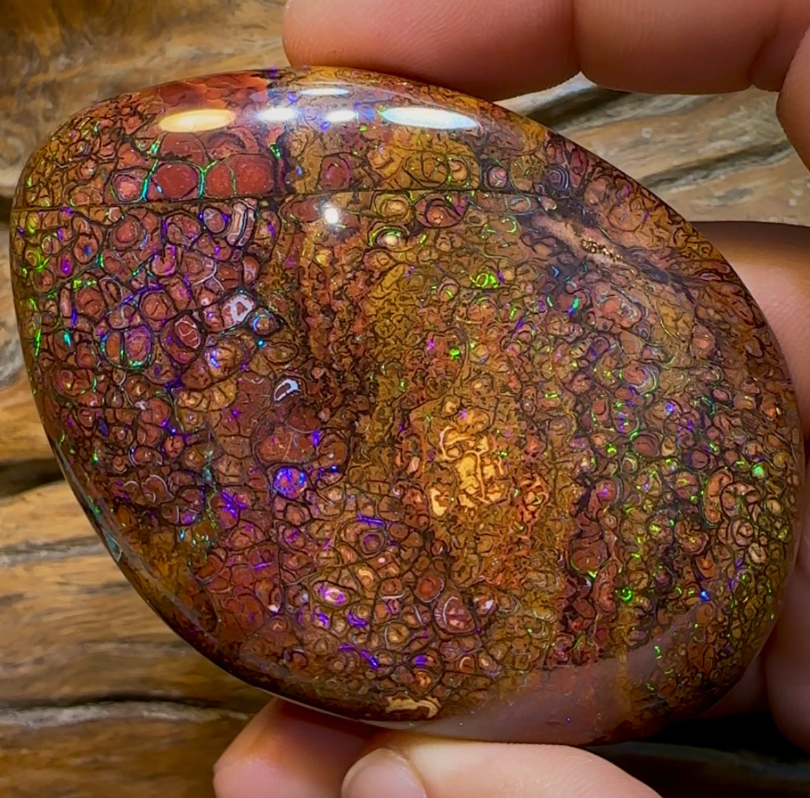 546.6cts - Huge Polished Tribal Yowah Nut Opal Specimen - Opal Whisperers