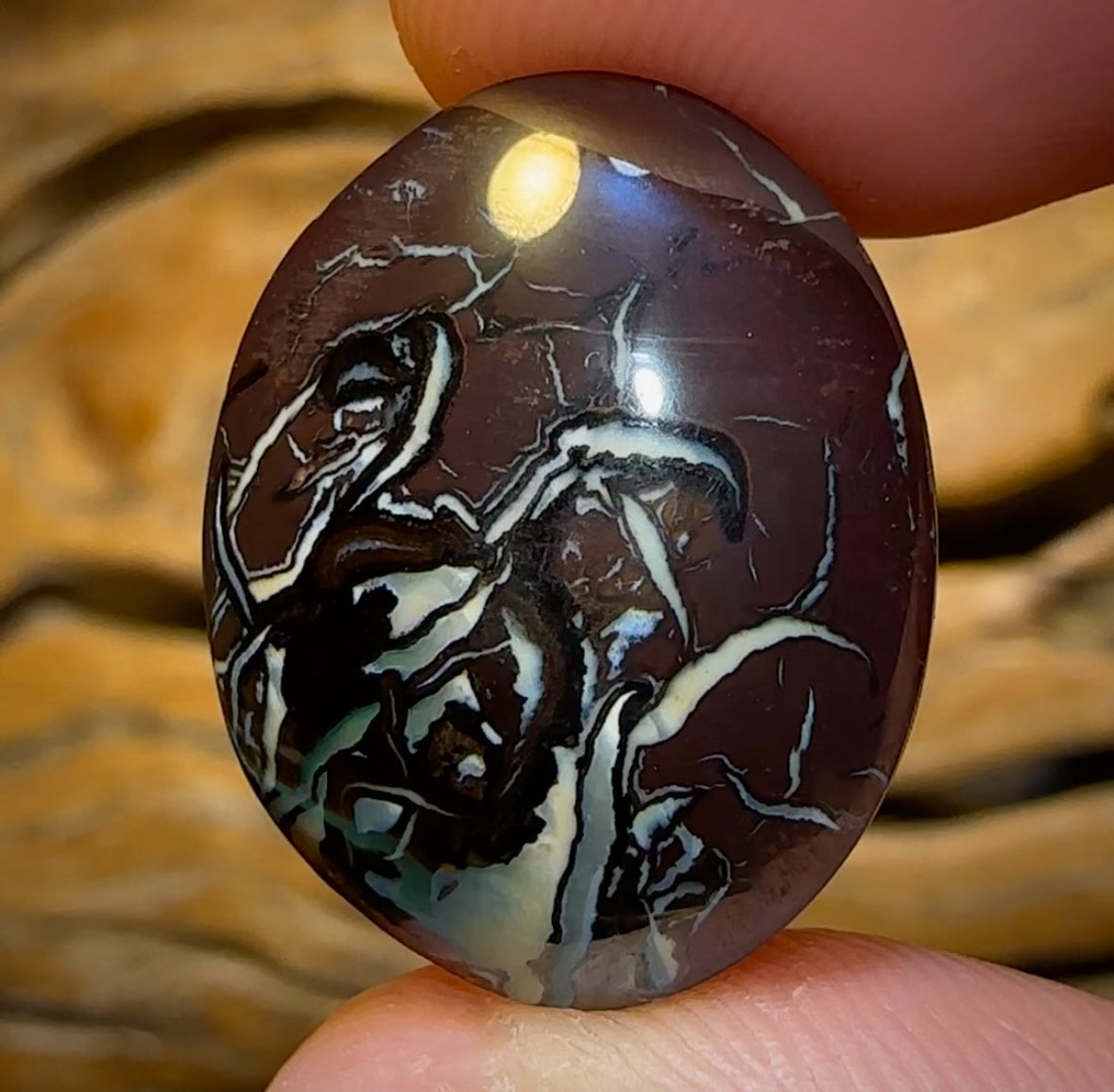 34.2cts - Queensland Boulder Opal from Koroit