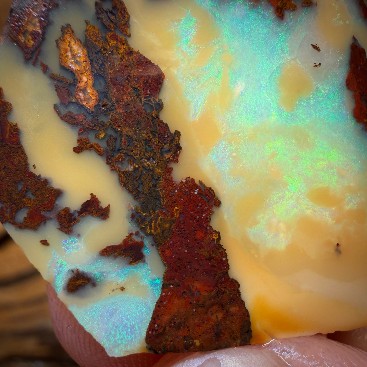 41.7cts - Yowah Nut Opal Rub Rough Boulder Preform
