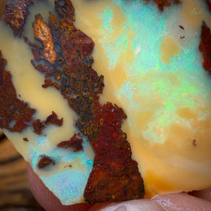🔨 AUCTION 🔨 41.7cts - Yowah Nut Opal Rub Rough Boulder Preform
