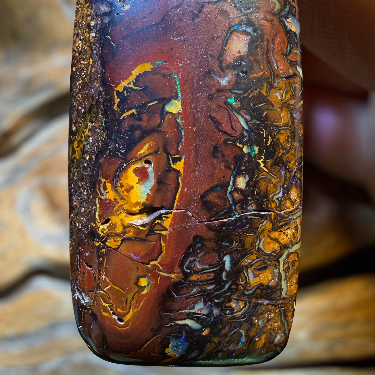 32 x 17mm - Drilled Tribal Queensland Boulder Opal Necklace. Australian Opal