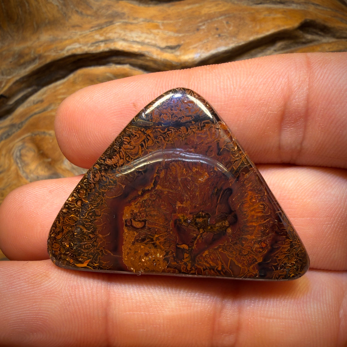 113.2cts - Tribal Queensland Boulder Opal. Australian Opal