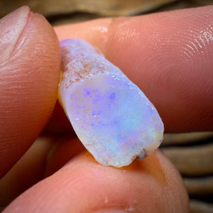 30.7cts - 3x Opalised Belemnite Geological Specimens from South Australia