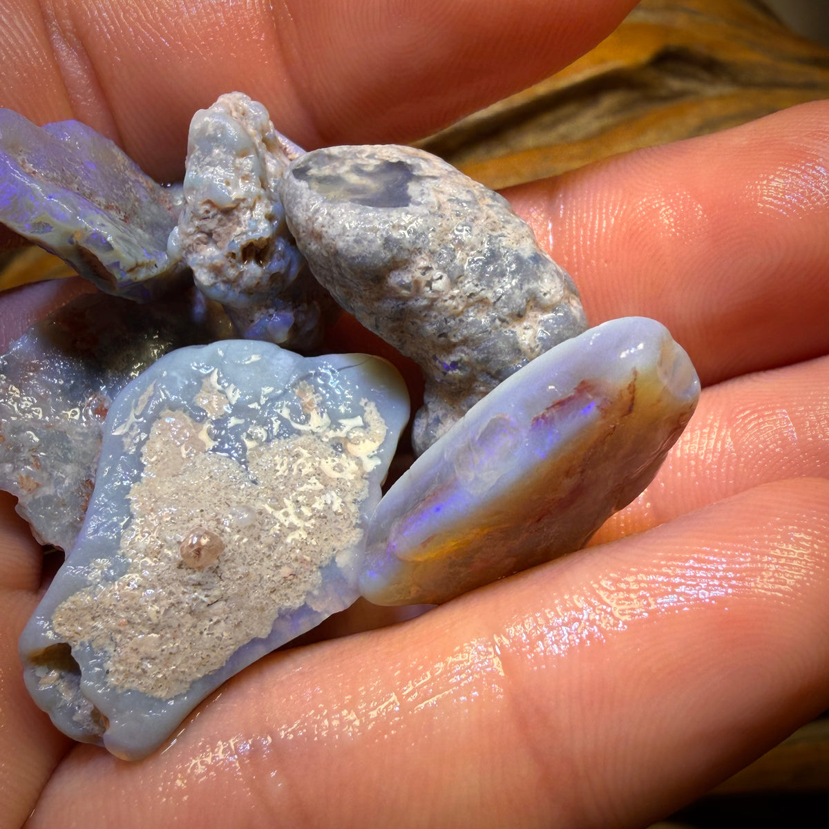 105.3cts - 7x Lightning Ridge Opal Rough Parcel
