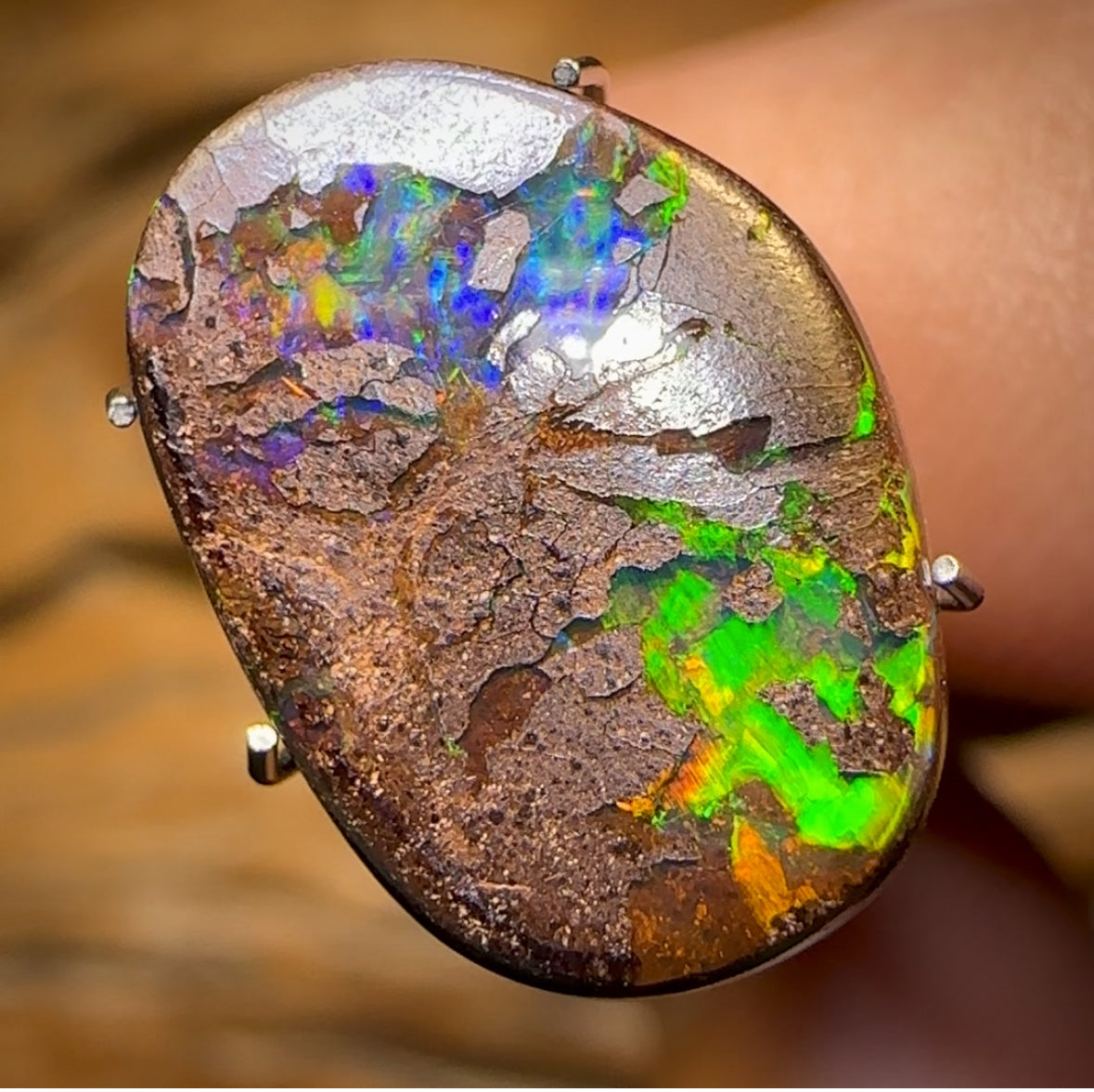5.3cts - Queensland Boulder “Bright Bubble Band” Opal