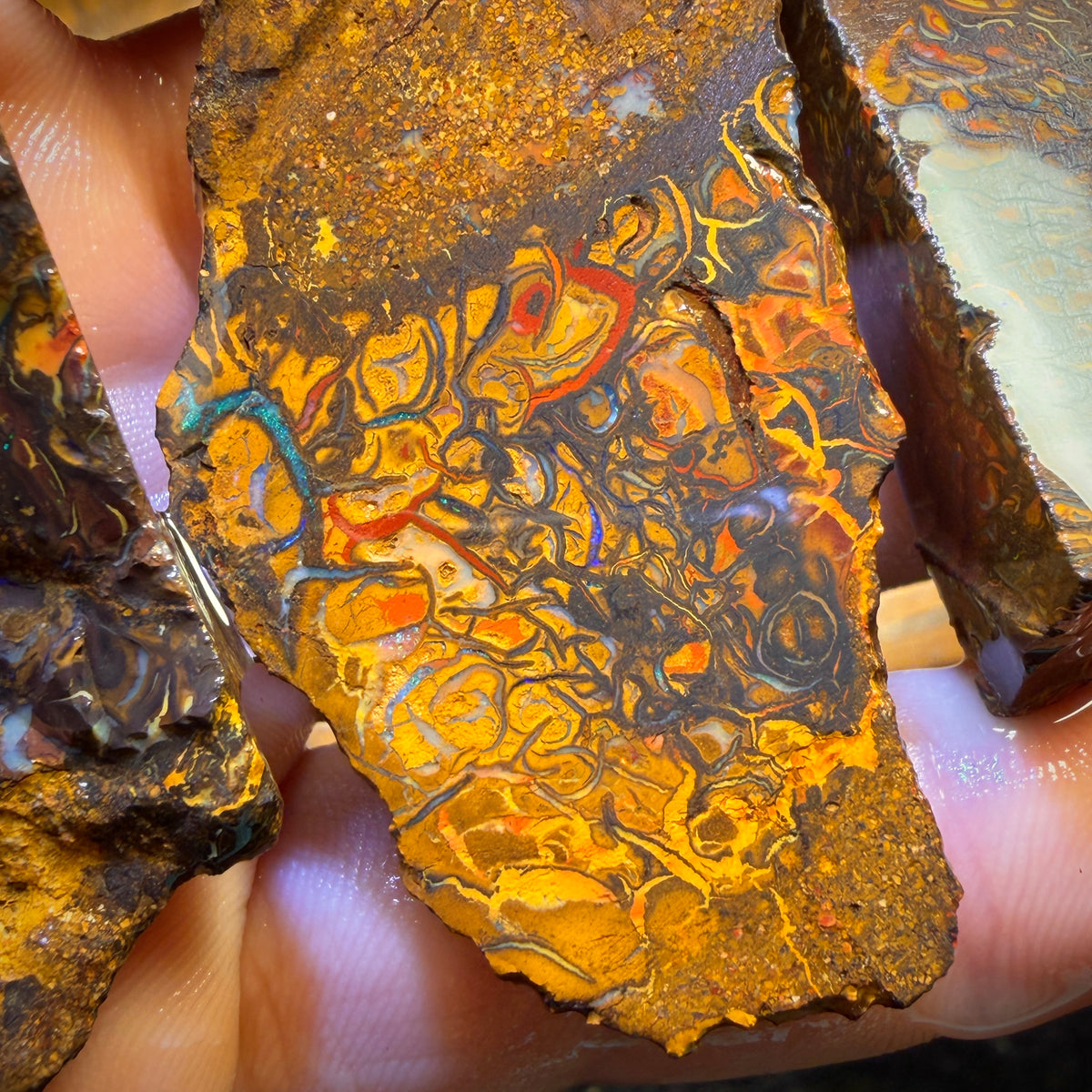364.7cts - 3x Yowah Nuss Tribal Opal Rohparcel. Australischer Boulder Opal