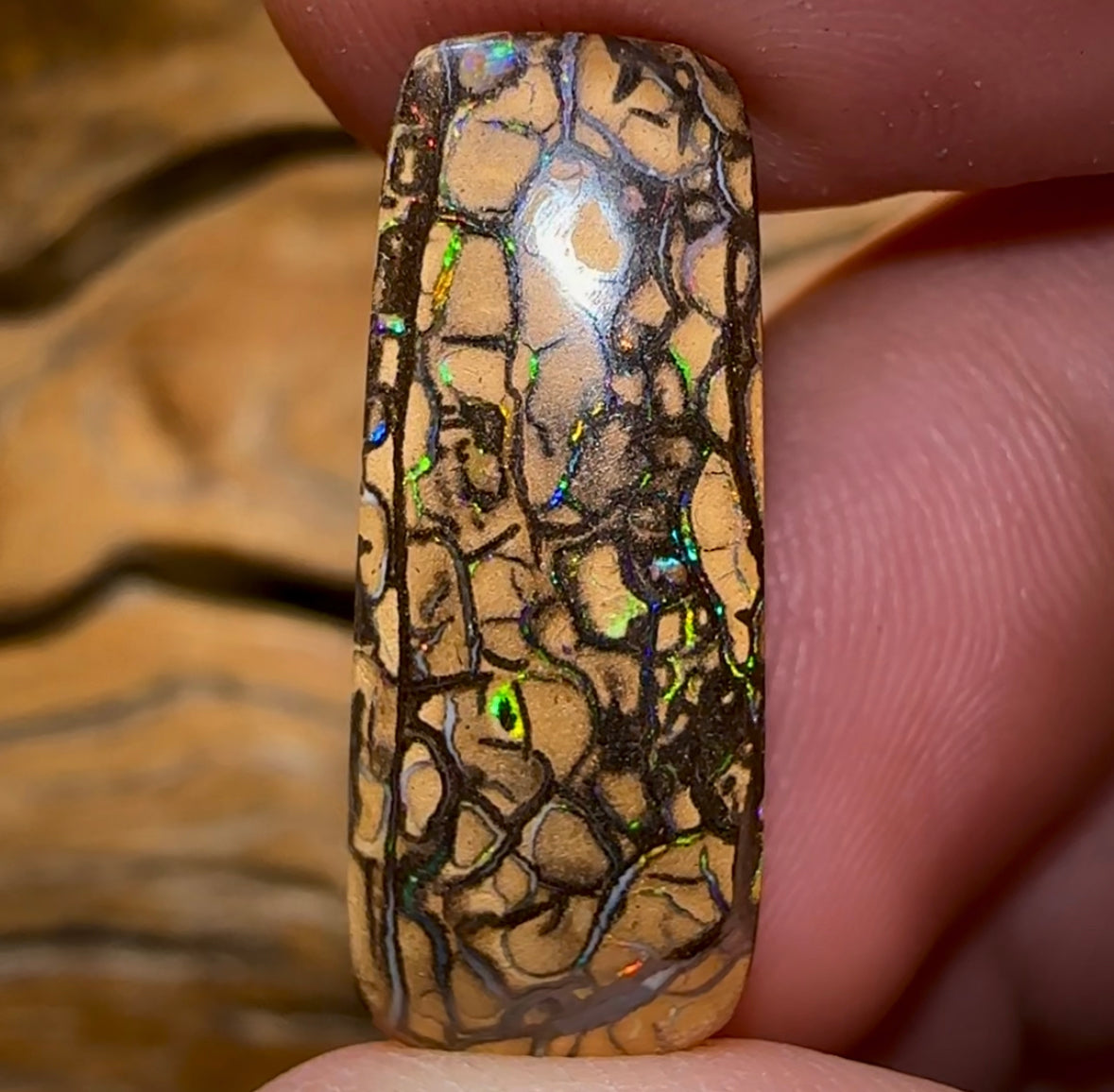 16.6cts - Yowah Nut Tribal Opal - Opal Whisperers