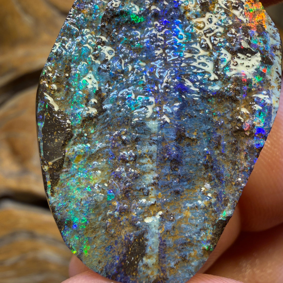 103.3cts - Dremel Dream Queensland Boulder Seam Opal Rough Piece. Natural Split