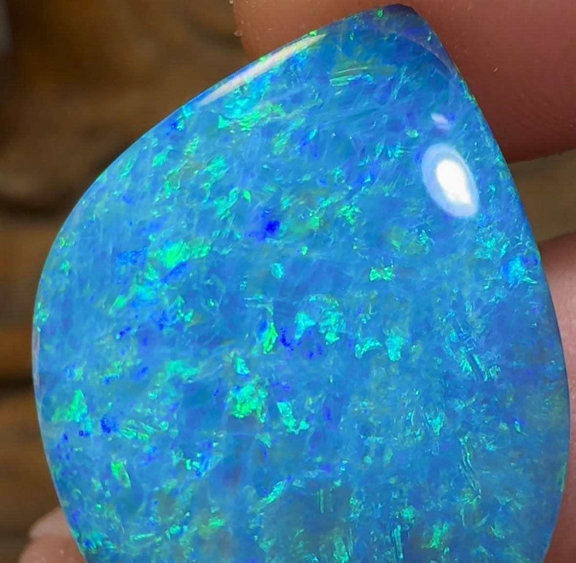 12.8cts - Largest Australian Boulder Opal Doublet Heritage Collection - Opal Whisperers