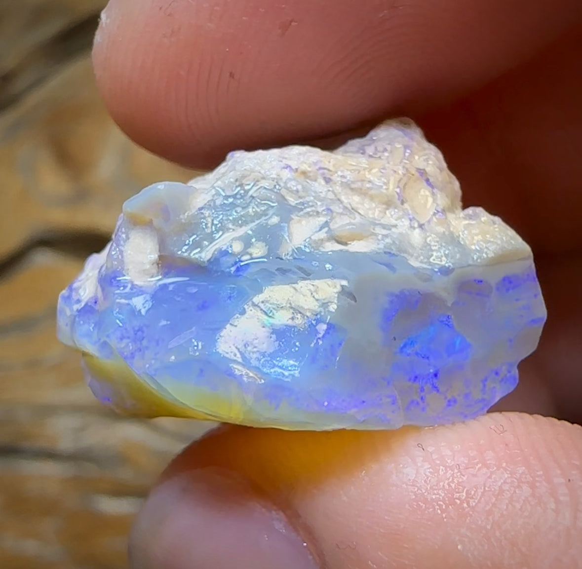 31.1cts - Lightning Ridge Opal Rough Piece