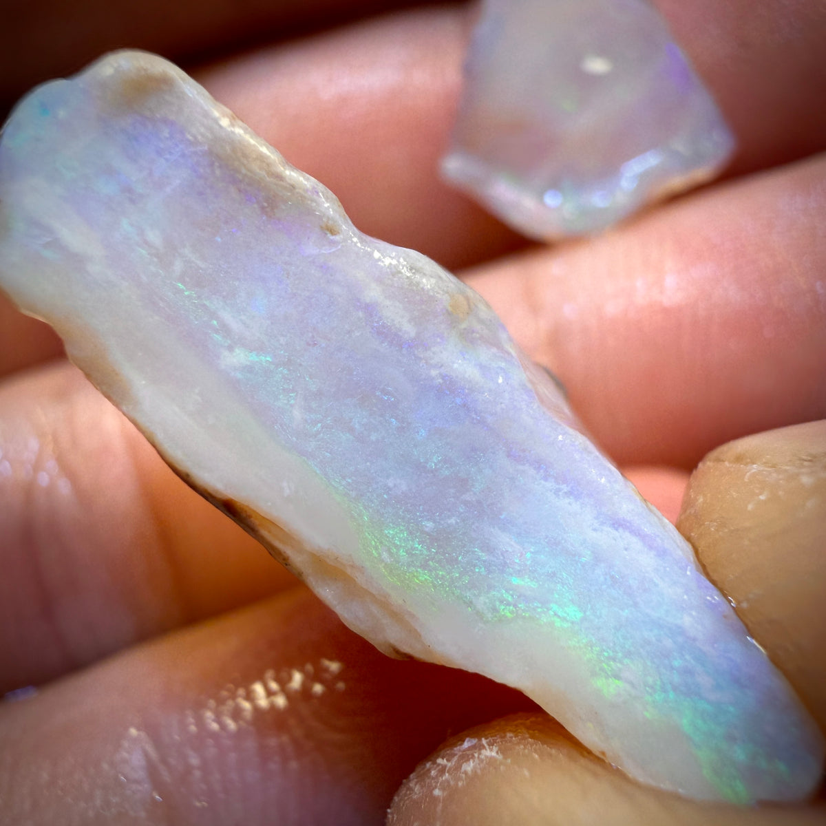 23.3cts - 3x South Australian Opal Rough Parcel