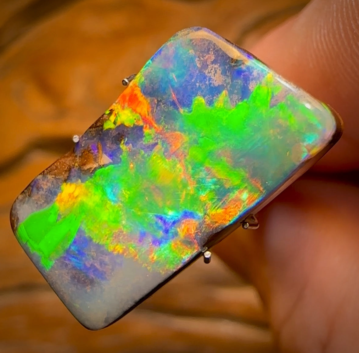 10.8cts - Super Stone Amazing ‘Concertina’ TOP GEM Yowah Nut Opal. Red Multicolours!!