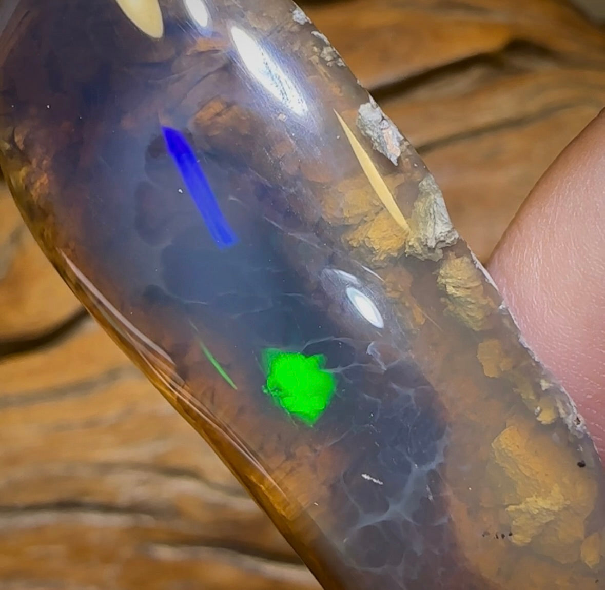 80.2cts - “There’s Something Special Going On” Lightning Ridge Black Crystal Opal Fossil Specimen. - Opal Whisperers