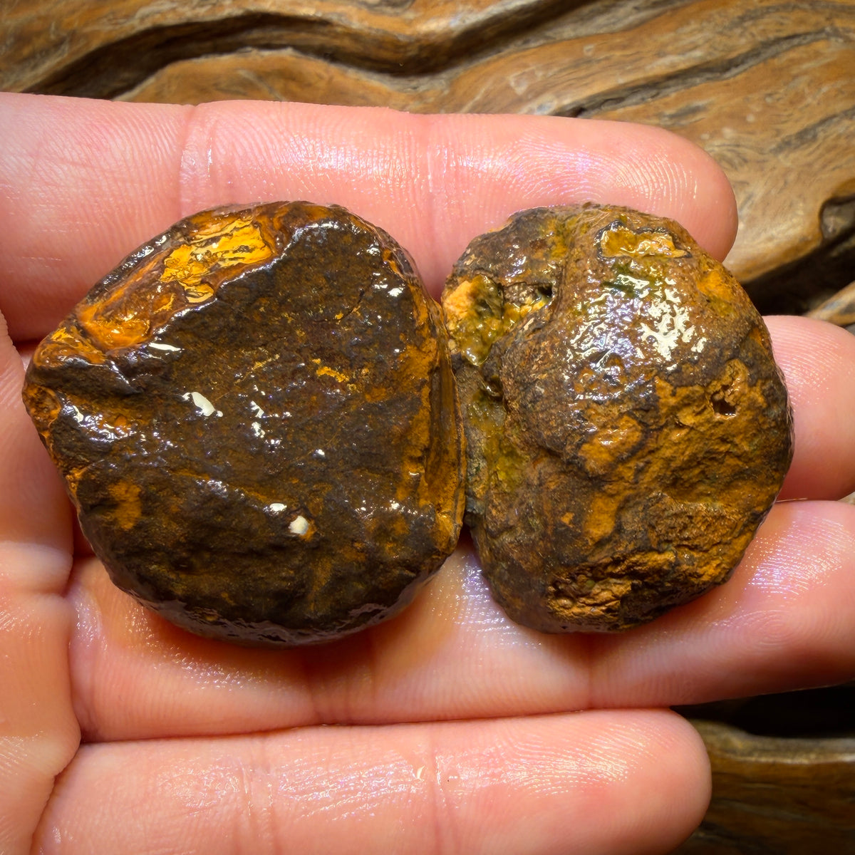 173cts - RARE Yowah Nut Partial Crystal Centre Rough Specimen Pair