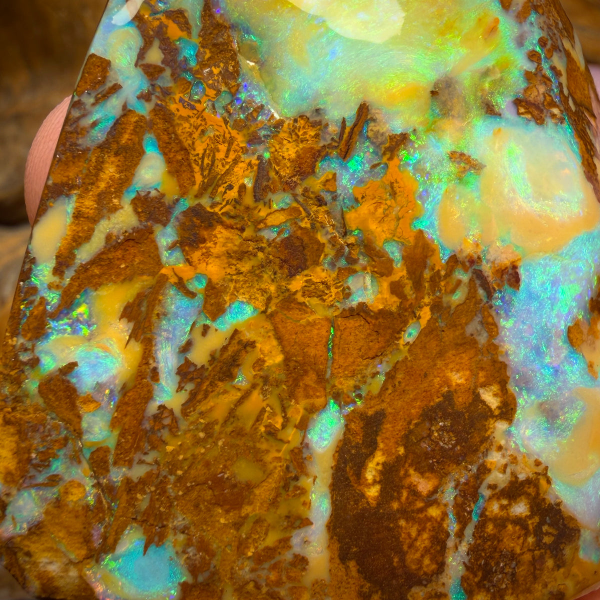 185.8cts - TOP Vegetation Fossil Replacement Boulder Opal Rub. Double Sided!