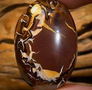 63.7cts - Tribal Queensland Boulder Opal Half Price Bargain