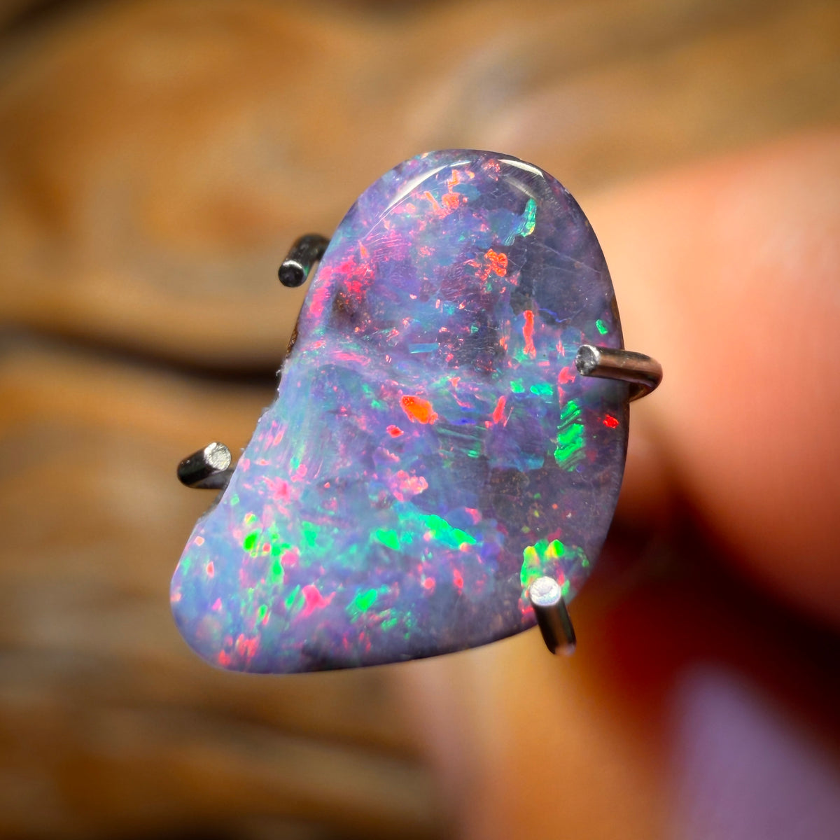 Half Price Card! 1.4cts - Queensland Boulder Seam Opal from Winton. Top Red Multi