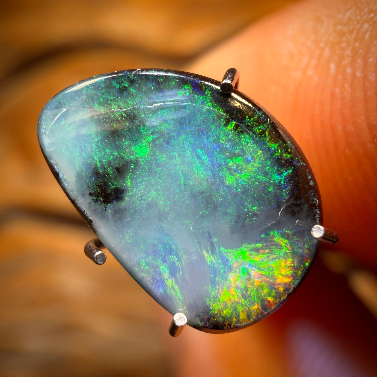 🔨 AUCTION 🔨 Reserve 💎 High Roller Banger Auction 💎 1.6cts - Queensland Boulder Seam Opal from Winton