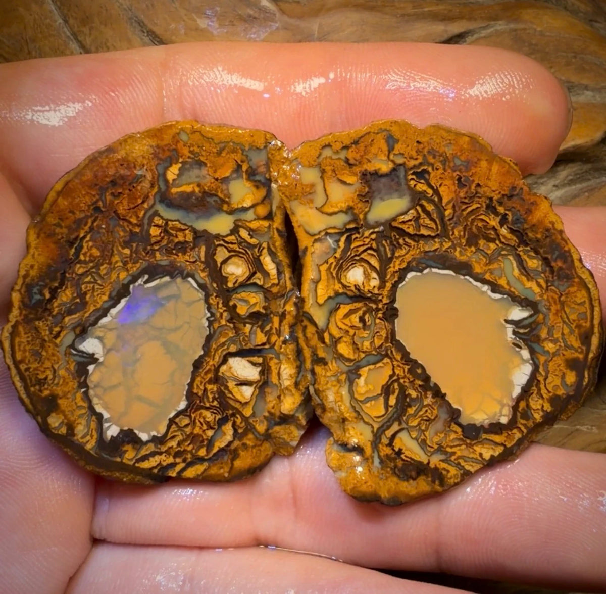 217.1cts - RARE Yowah Nut Crystal Centre Rough Specimen Pair