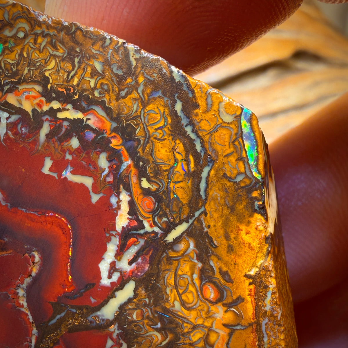 🔨 AUCTION 🔨 257.2cts - Tribal Yowah Nut Picture Stone Opal Rough Piece