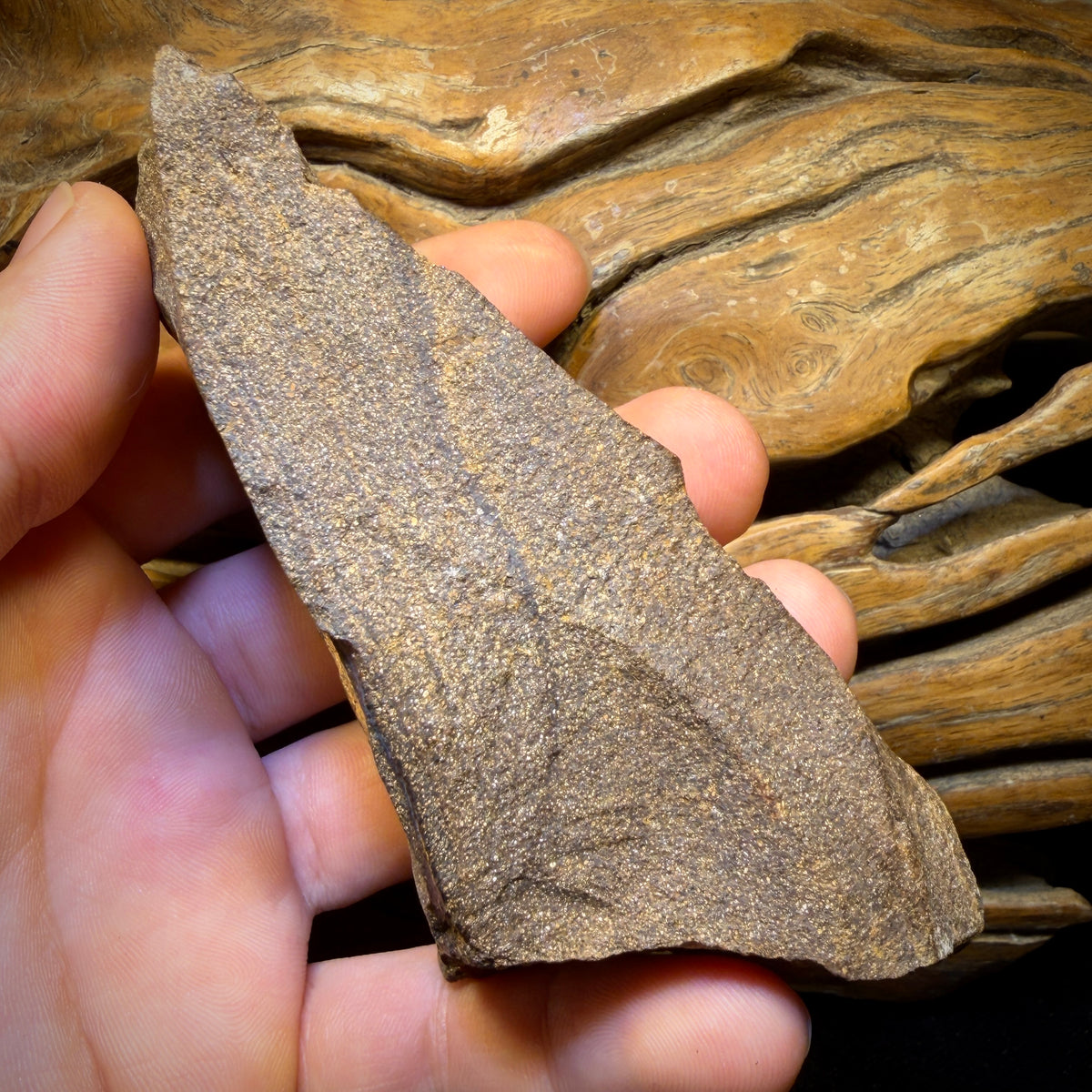 1347cts - LARGE Queensland Boulder Seam Opal Rough Specimen