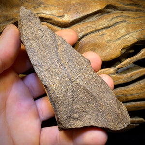 1347cts - LARGE Queensland Boulder Seam Opal Rough Specimen