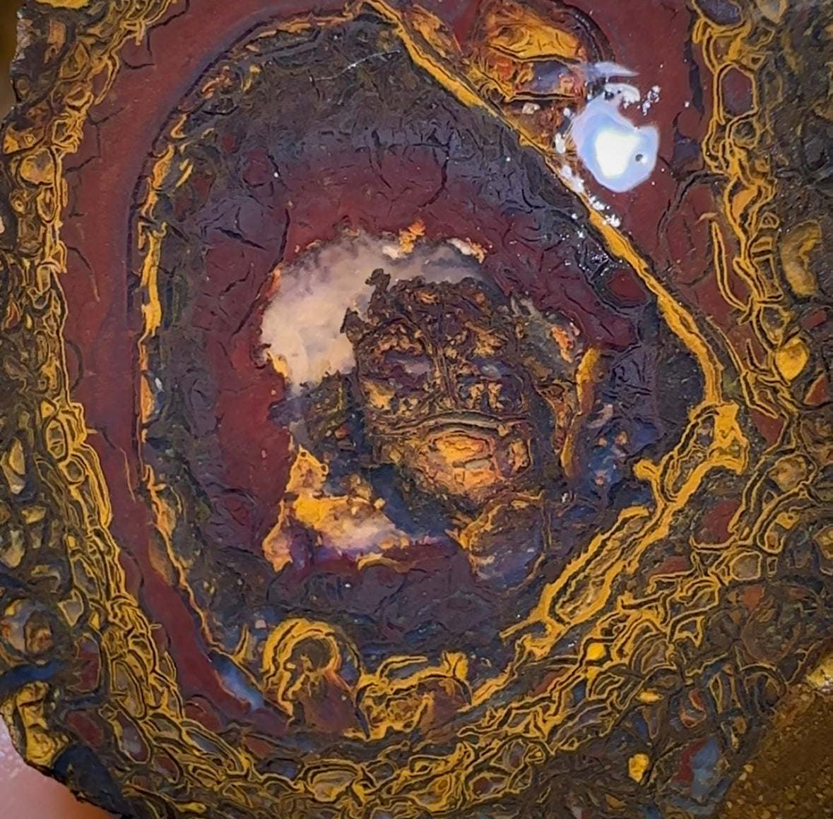 328.8cts - Yowah Nut Opal Rough Half. Australian Opal - Opal Whisperers