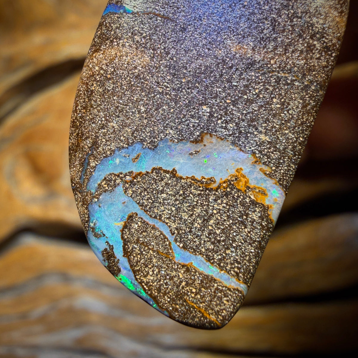 Half Price Card! 38 x 18mm - Drilled Australian Boulder Opal Necklace