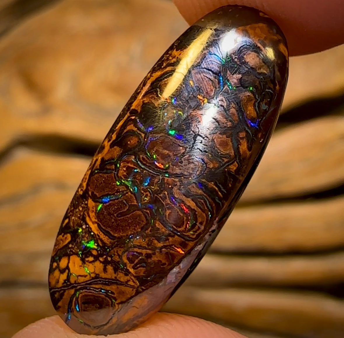 13.6cts - Tribal Queensland Boulder Opal from Yowah. Multicolours!