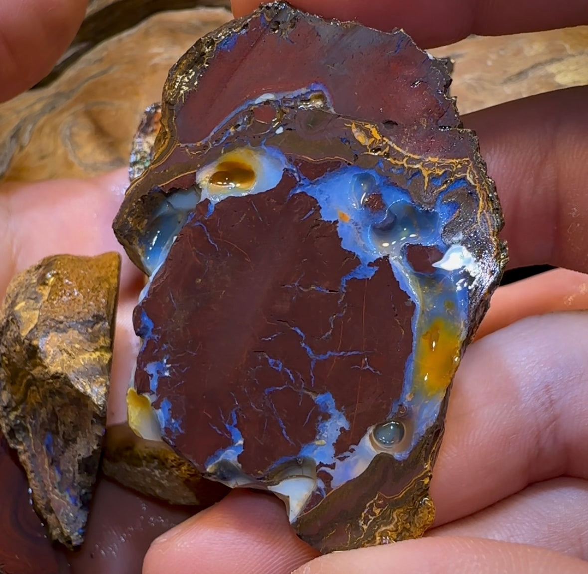193.1g - 7x Koroit Nut Rough Opal Parcel - Opal Whisperers