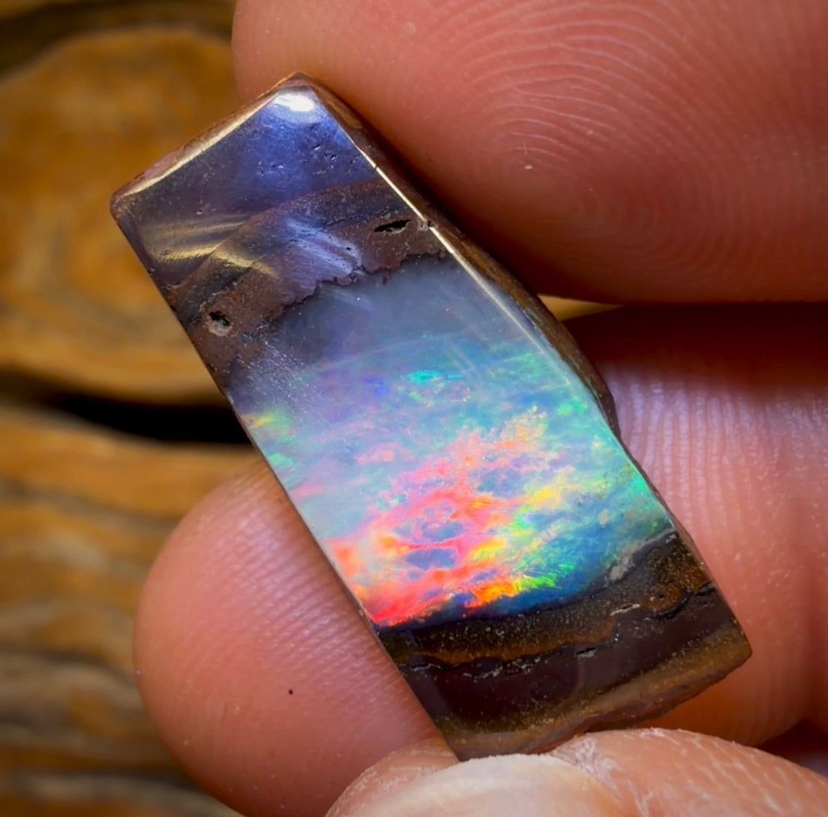 23.3cts - BANGER Yowah Nut Crystal Centre Opal. Polished Specimen