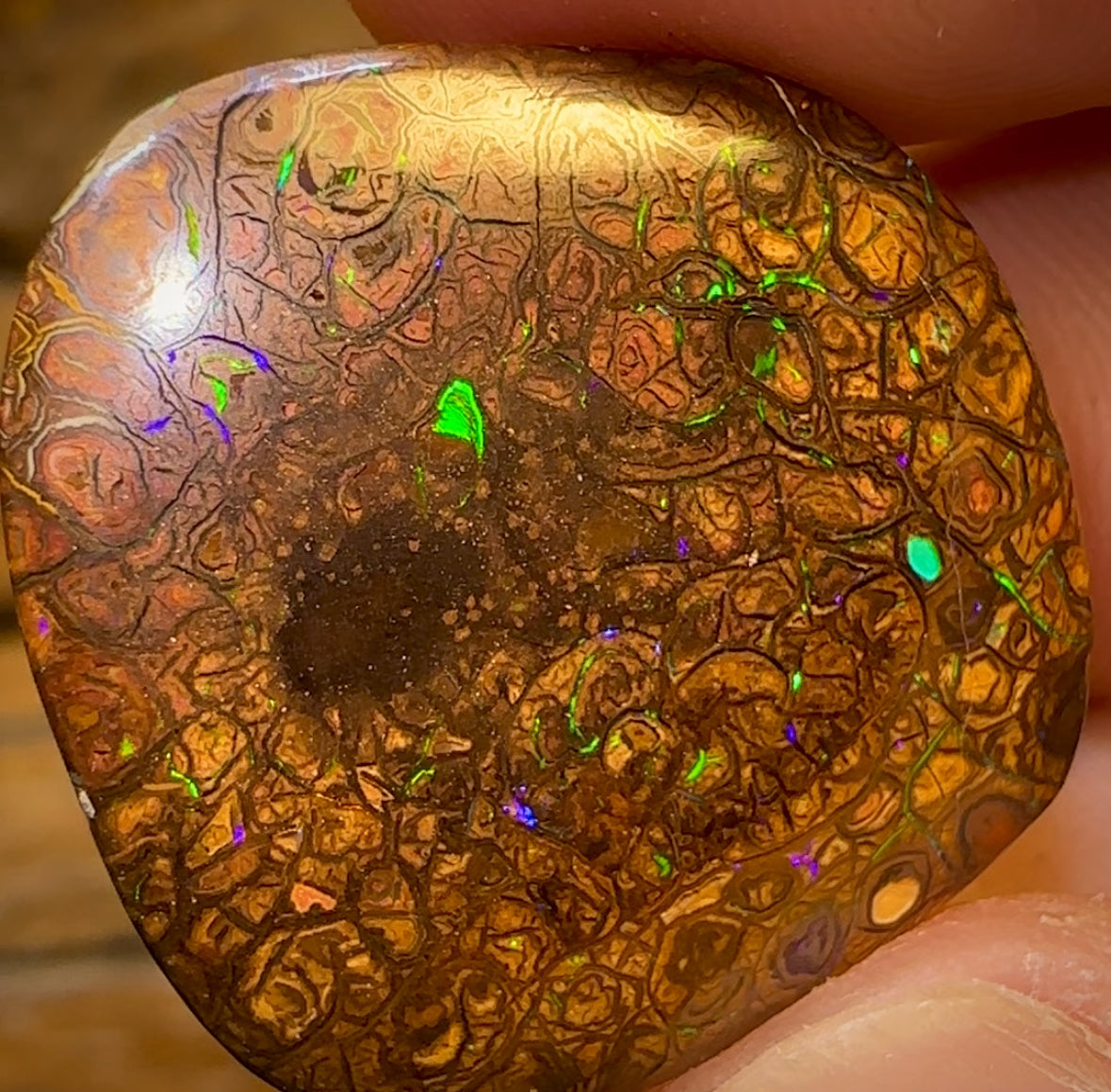 29.3cts - Tribal Yowah Nut Opal. Electric Green