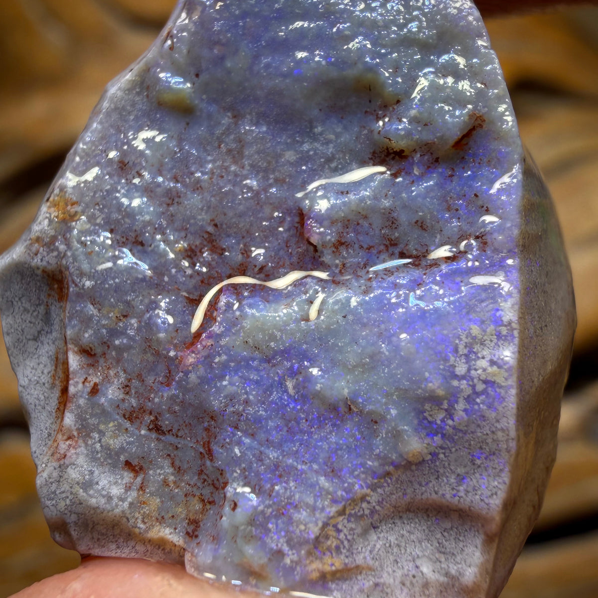 25.4cts - Lightning Ridge Dark Opal Rough Piece