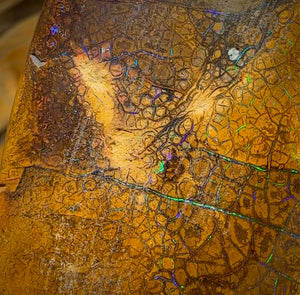 235cts - Tan Tribal Queensland Boulder Opal. Polished Specimen