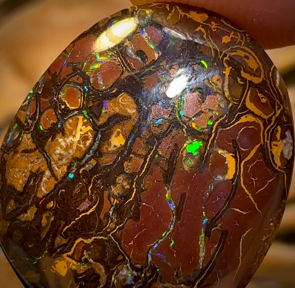 22.3cts - Tribal Queensland Boulder Opal from Koroit