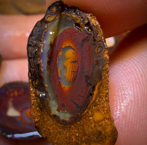 🔒89,1 ct - 5x Yowah Nut Teilkristall-Rohdiamant-Paket zum Schnäppchenpreis!