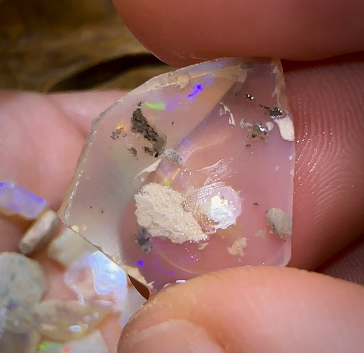 The 48.5cts - 40+ pieces Lightning Ridge Crystal Opal Rough - Opal Whisperers