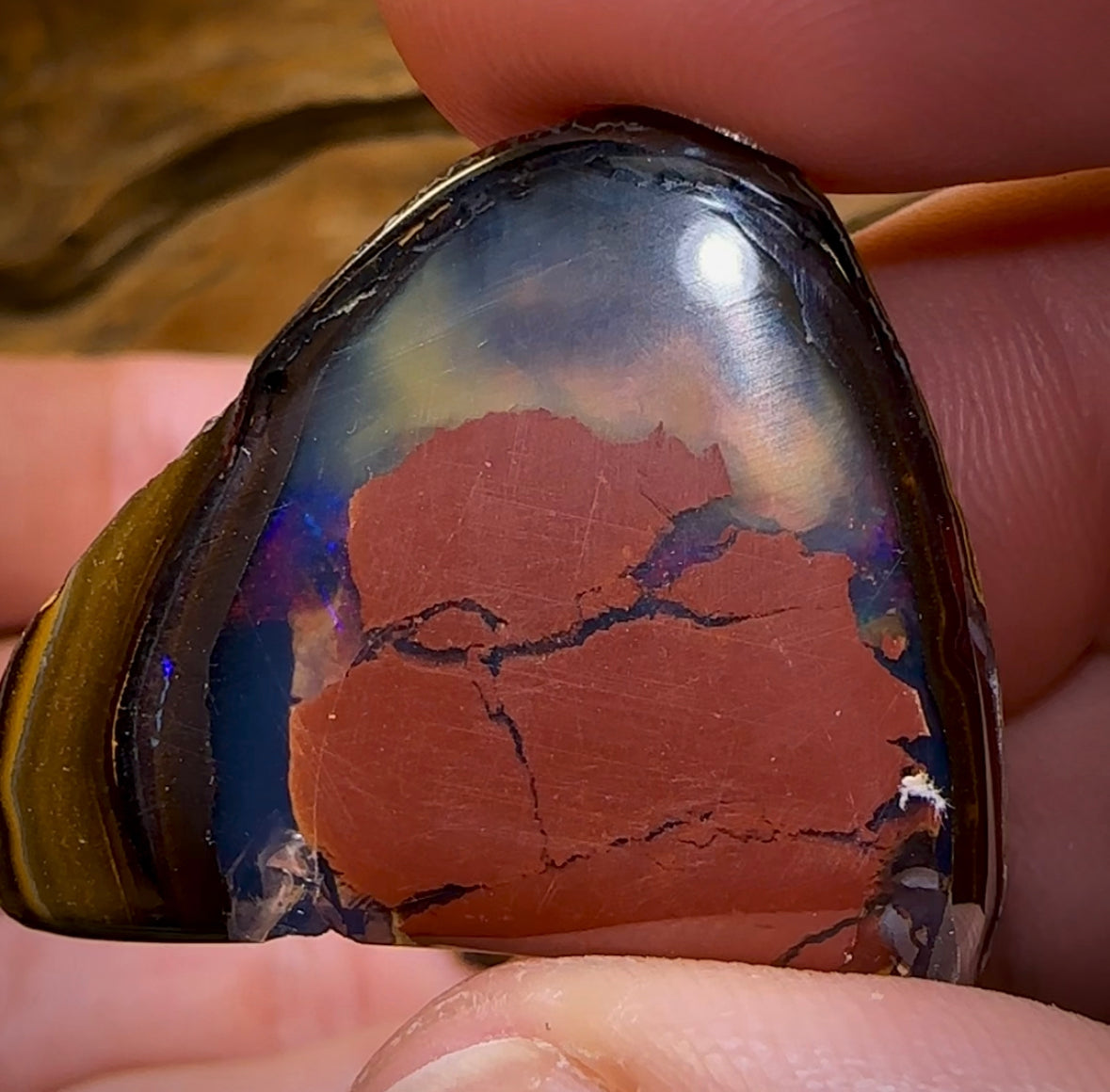 83.6cts - Yowah Nut Kernel Opal Polished Specimen Pair - Opal Whisperers