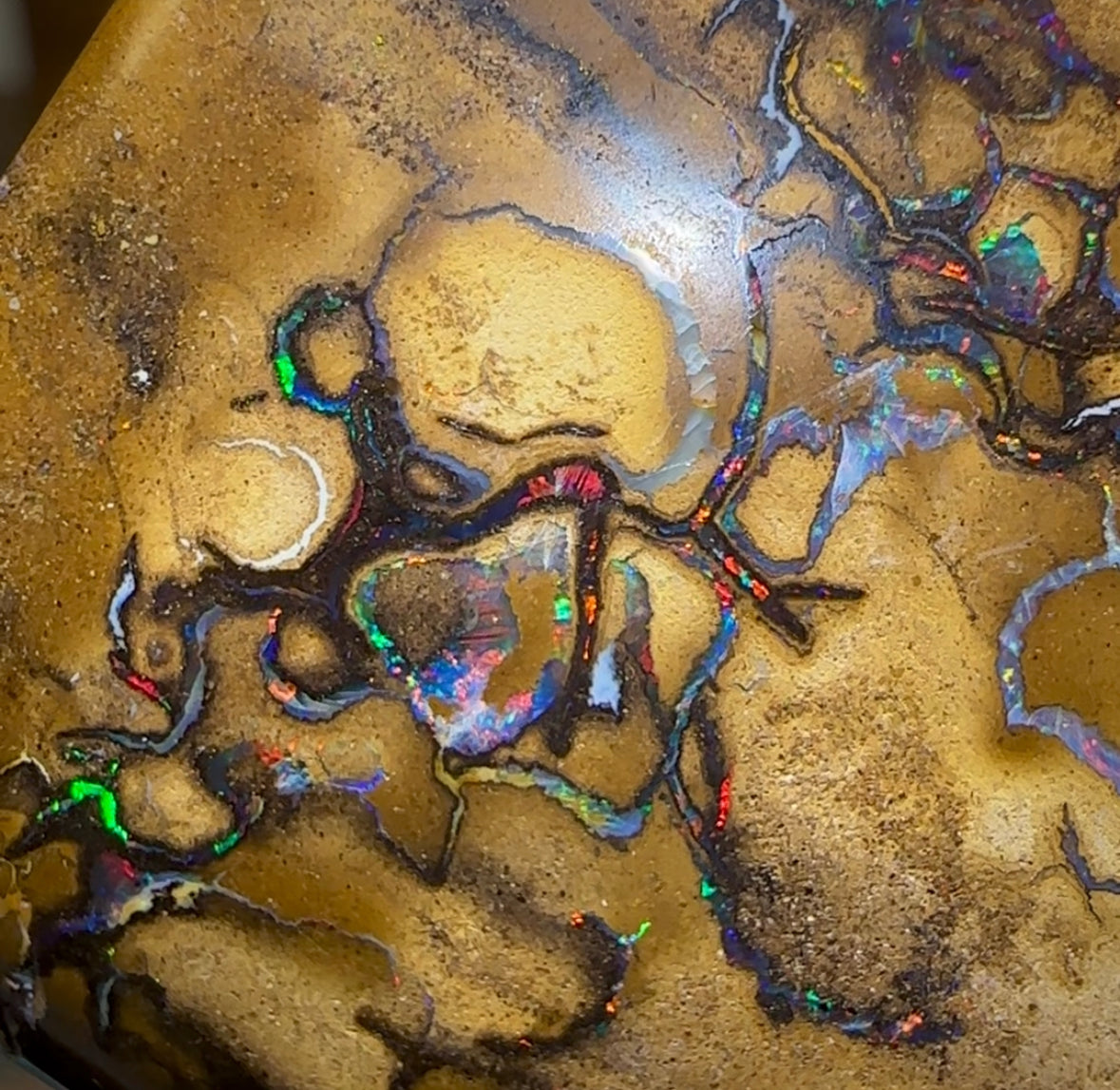 598cts - RED Yowah Tribal Art Boulder Opal Specimen Polished - Opal Whisperers