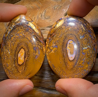 282,9 cts - Paire d'opales boulder tribales du Queensland. Centres de cristal partiels !