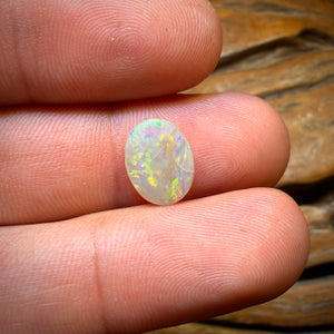 🔨 AUCTION 🔨  2.3cts - Lightning Ridge Crystal Opal Recutters Delight