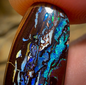 22.9cts - Tribal Australian Boulder Opal. Aquatic Pattern on Black iron stone.